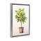 Stupell Industries Citrus Tree Serenade Floating Frame, design by Andrea Haase